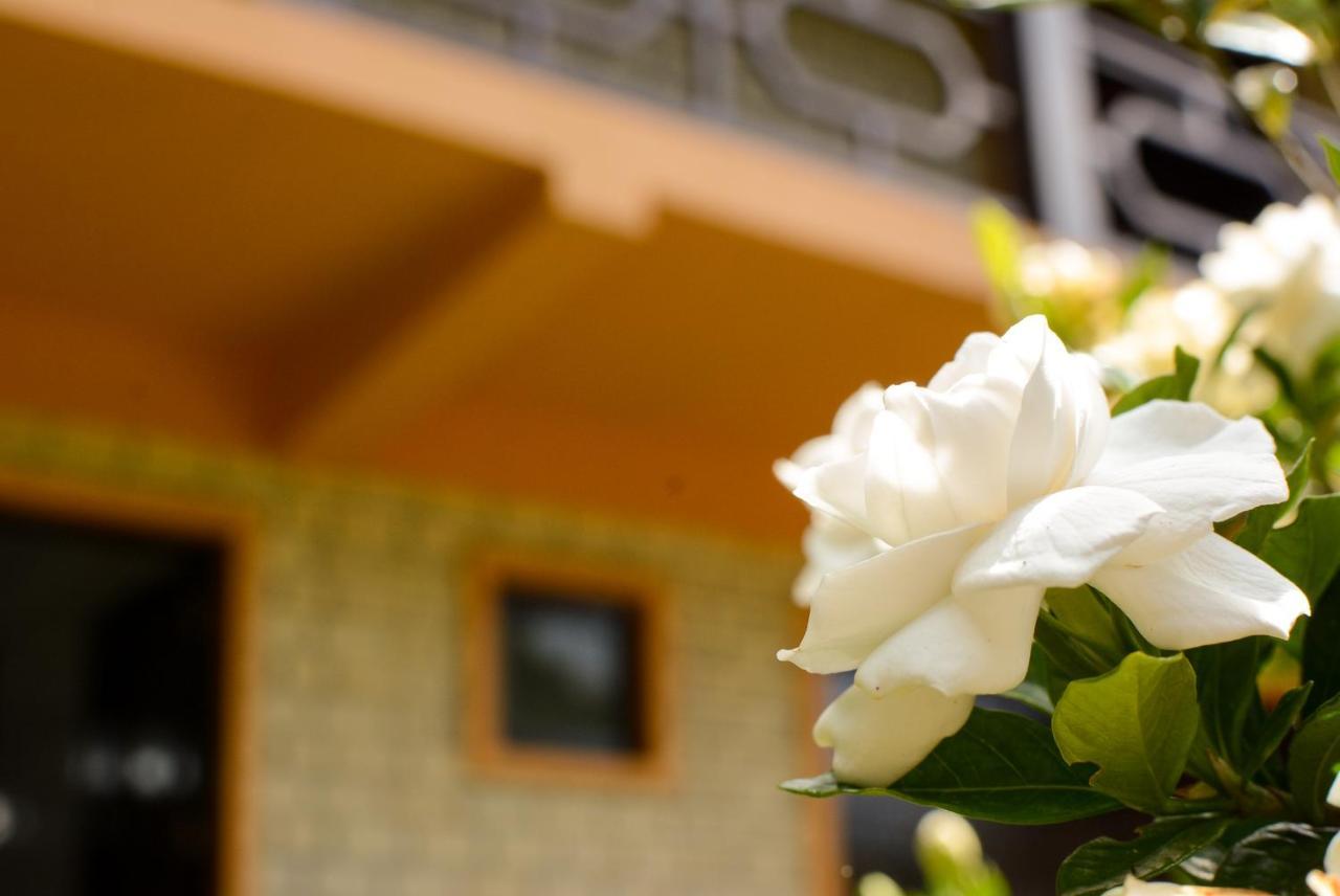 Doce Mundo De Fatima Villa Sao Francisco de Paula Ngoại thất bức ảnh